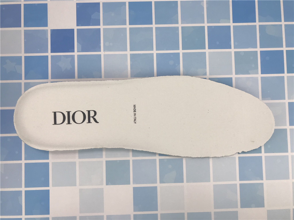 Dior B23 Low Dior Oblique